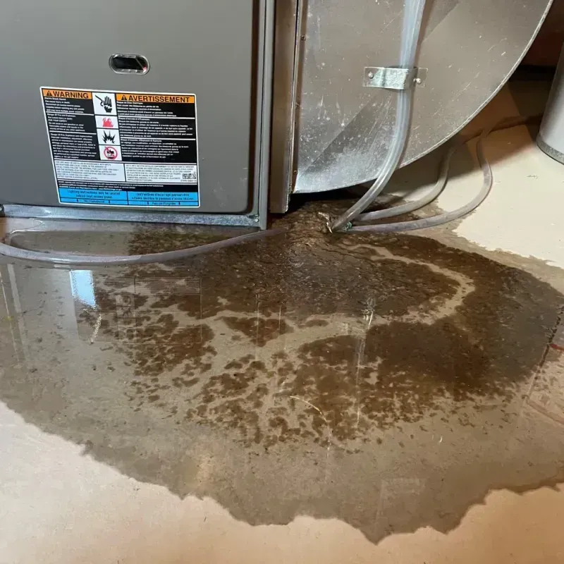 Appliance Leak Cleanup in Edgefield, SC